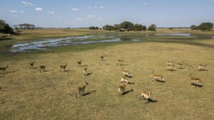 Kafue National Park