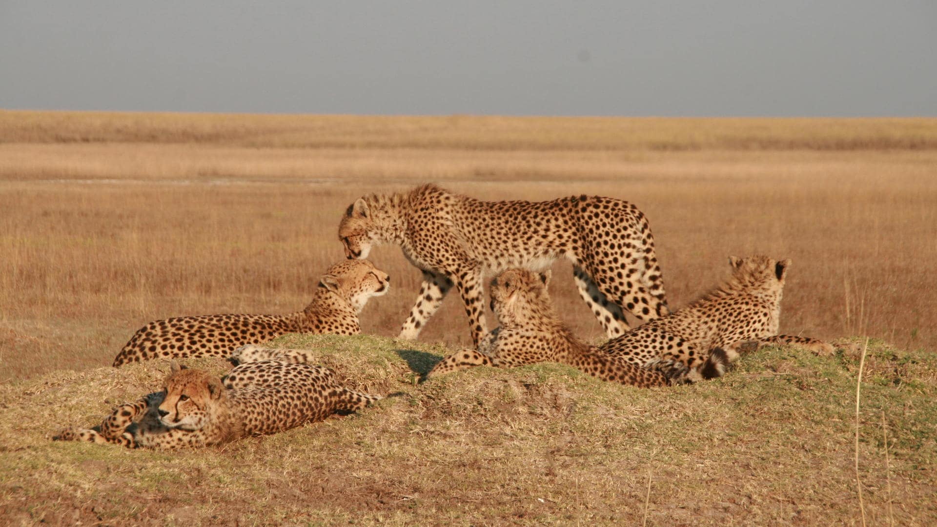 Liuwa Plain National Park