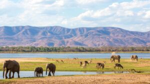 Mana Pools National Park