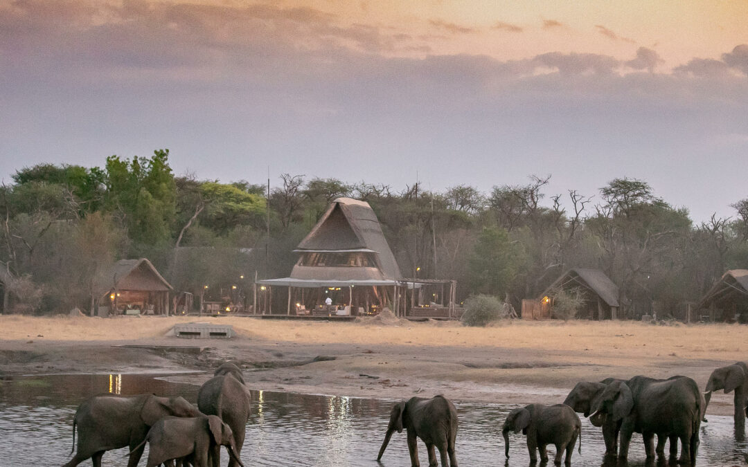 Matusadona NP / Lake Kariba