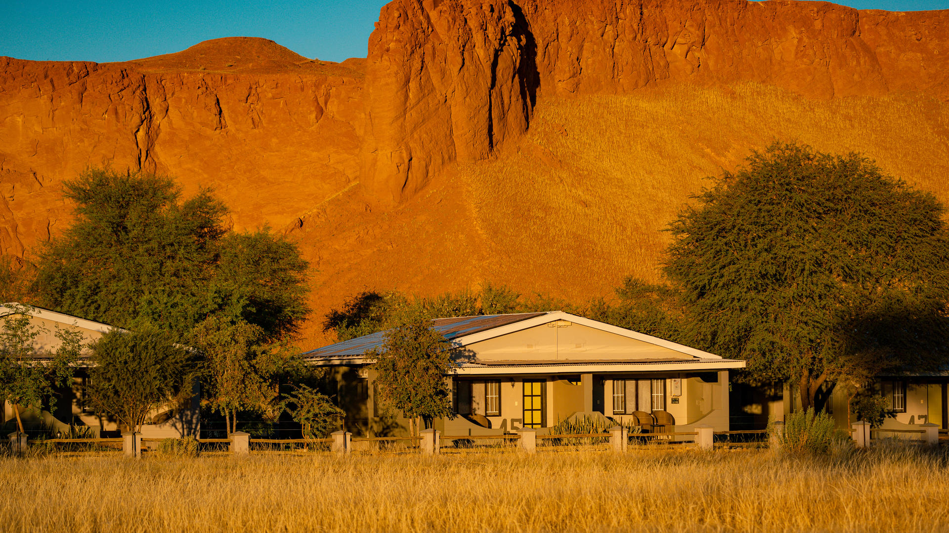 Namib Desert