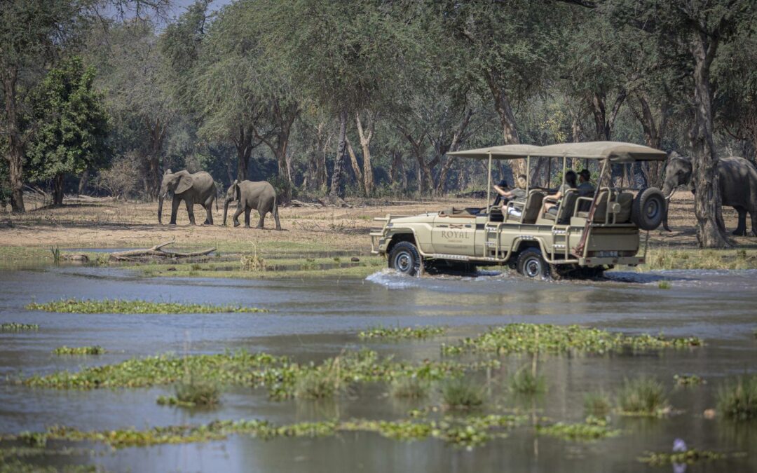South Luangwa National Park