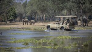 South Luangwa National Park