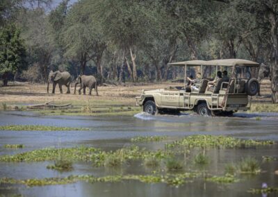 Leopard in South Luangwa National Park, Zambia