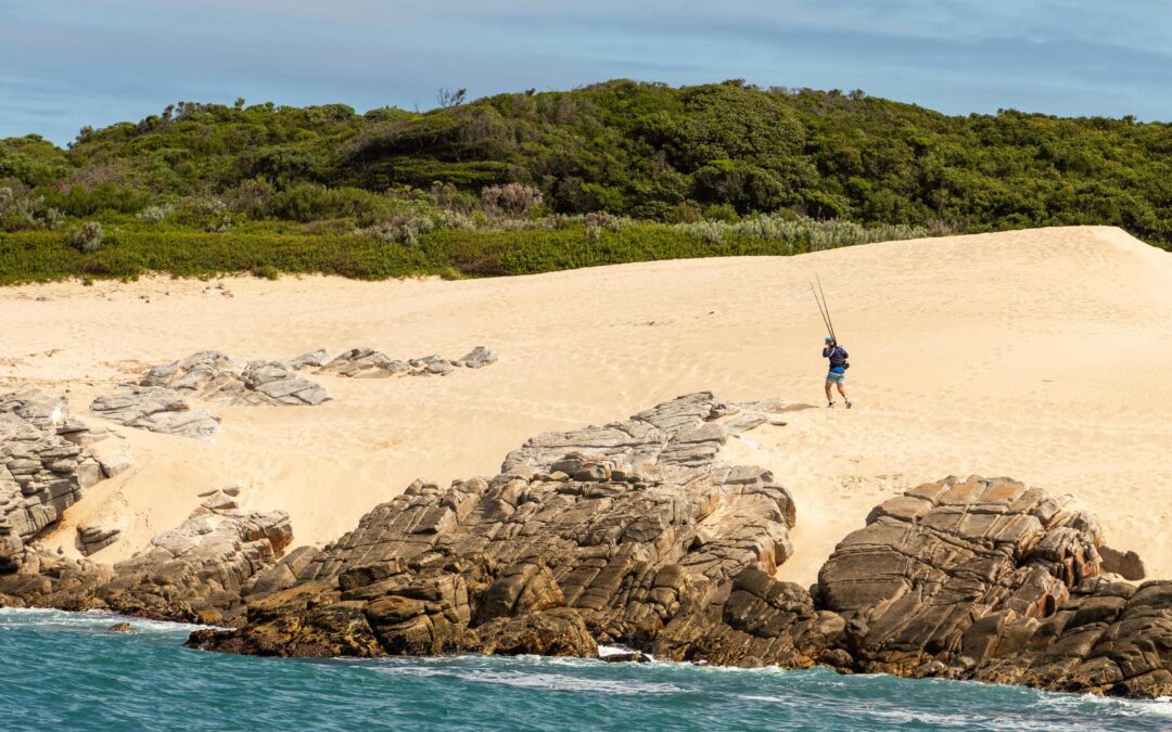 The Wild Coast