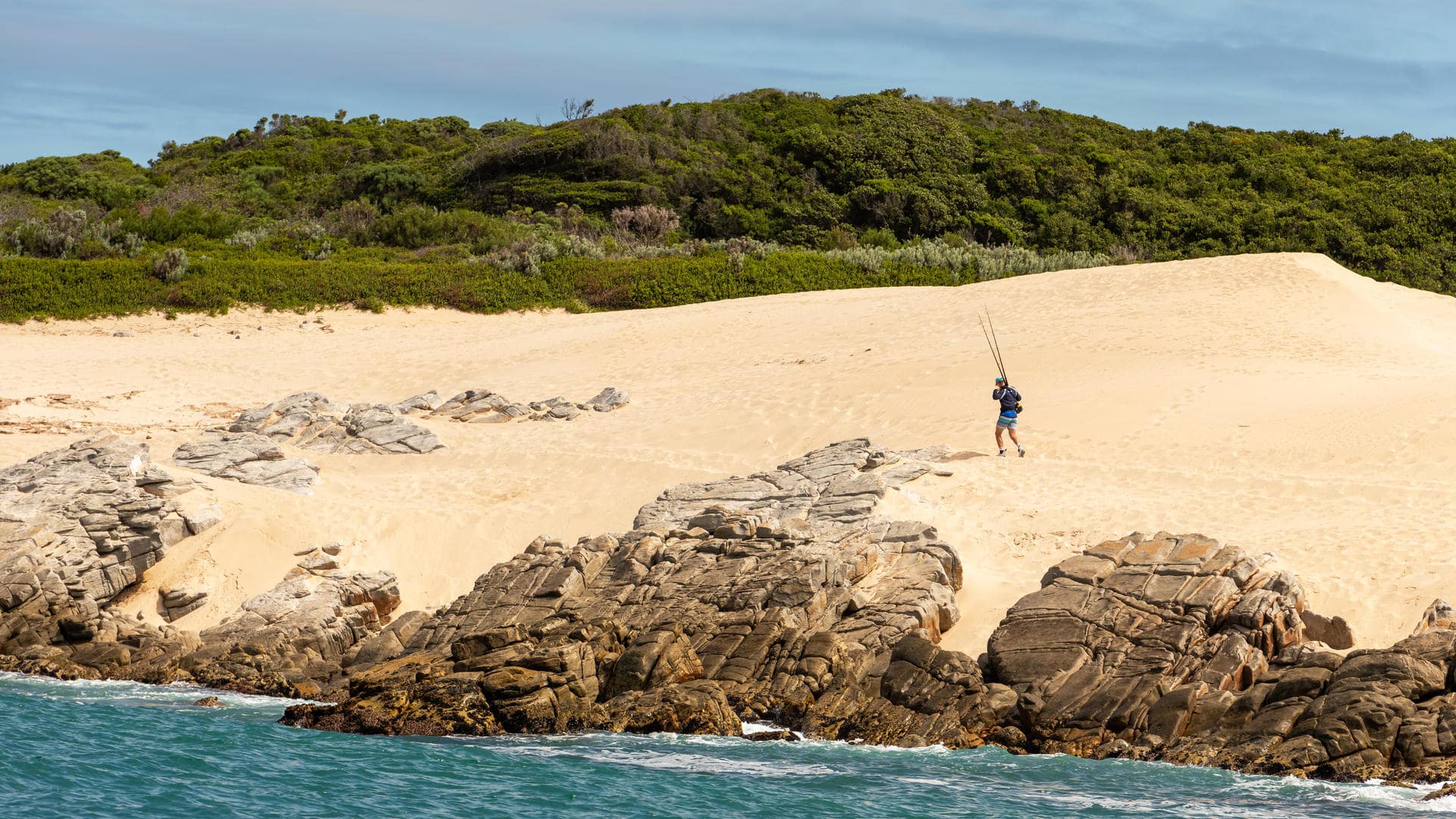 The Wild Coast