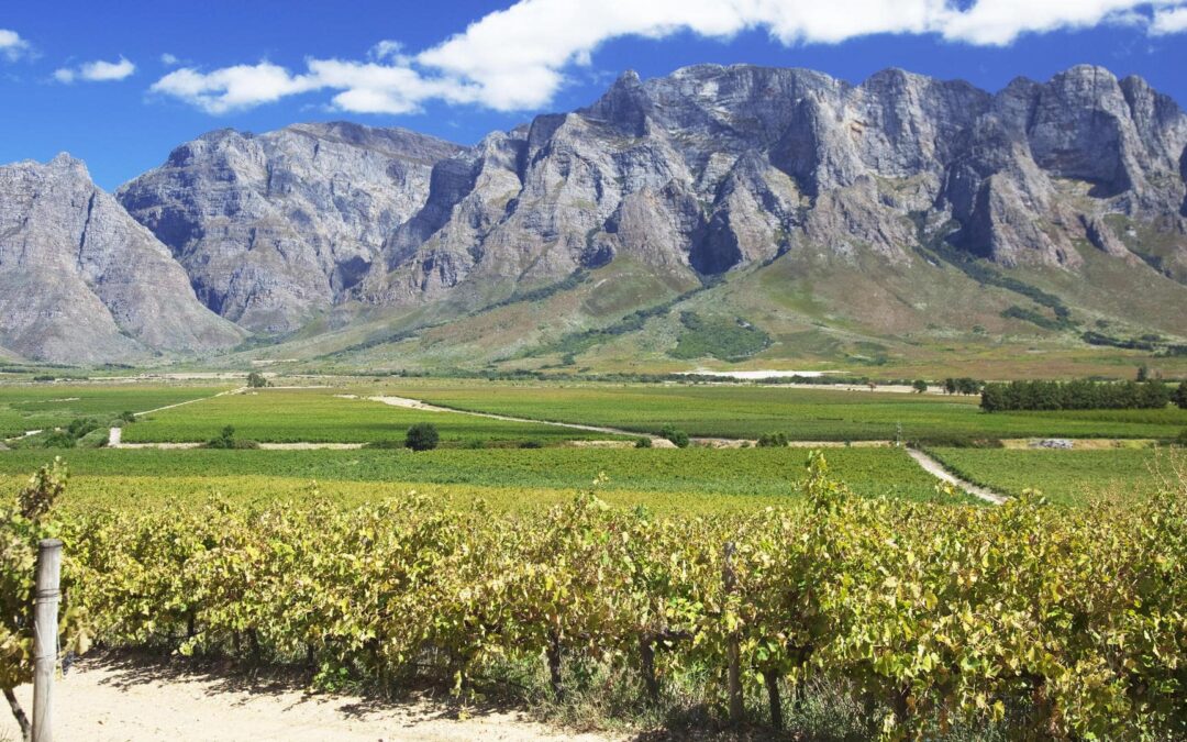 The Winelands (Stellenbosch, Franschhoek, & Paarl)
