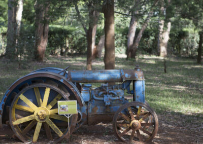 Karen Blixen Museum & Cultural Tour