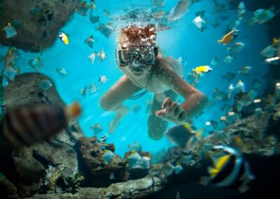 Snorkeling & Marine Exploration