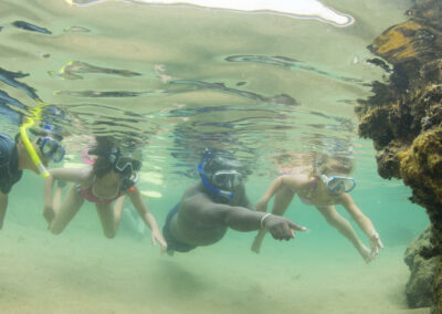 Snorkeling & Marine Exploration