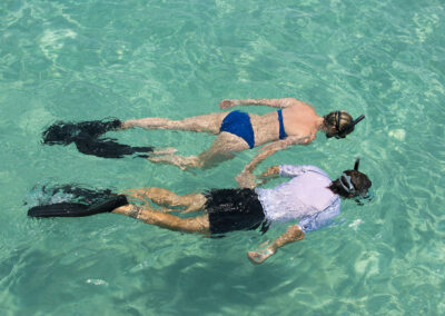 Snorkeling & Marine Exploration