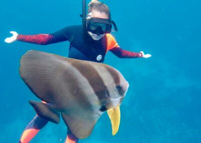 Snorkeling & Marine Exploration