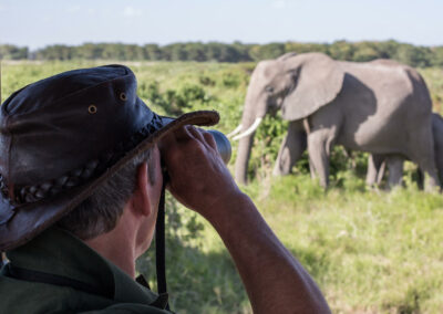 Elephant-Focused Game Drives