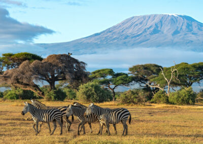 Kilimanjaro Scenic Photography