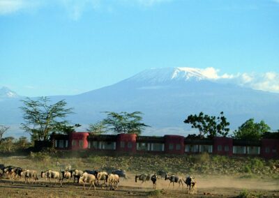 Kilimanjaro Scenic Photography