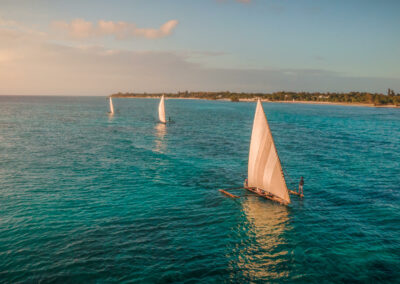 Dhow Sunset Cruises