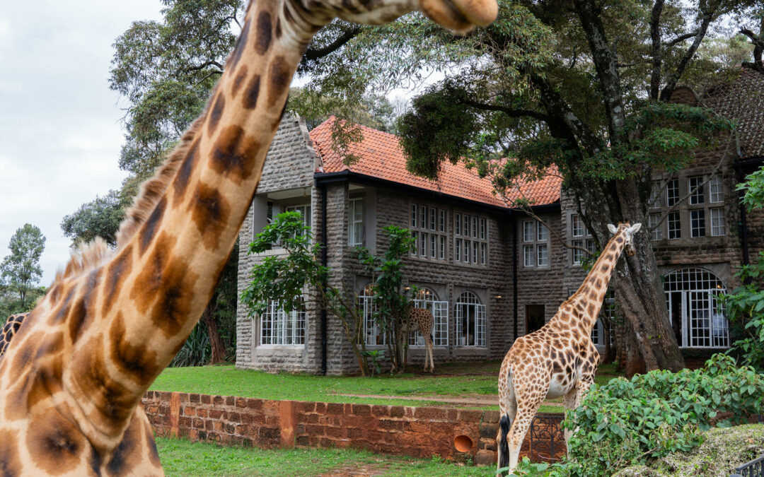 Giraffe Manor