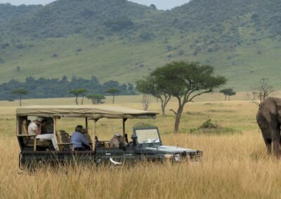 Kenya Game Drives