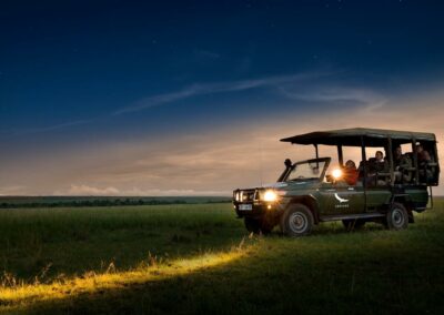 Night Game Drives