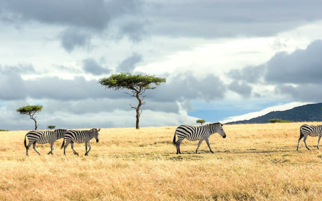 Laikipia North