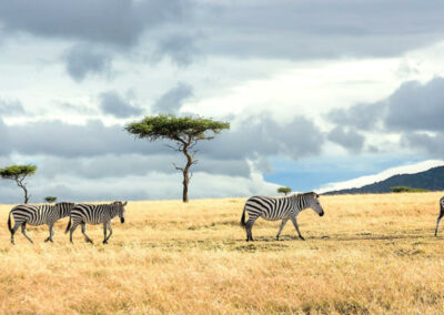 Laikipia North