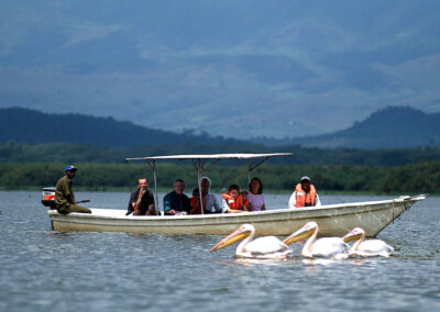 Boat Safaris