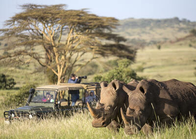 Rhino Conservation Experience