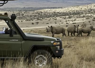 Rhino Conservation Experience