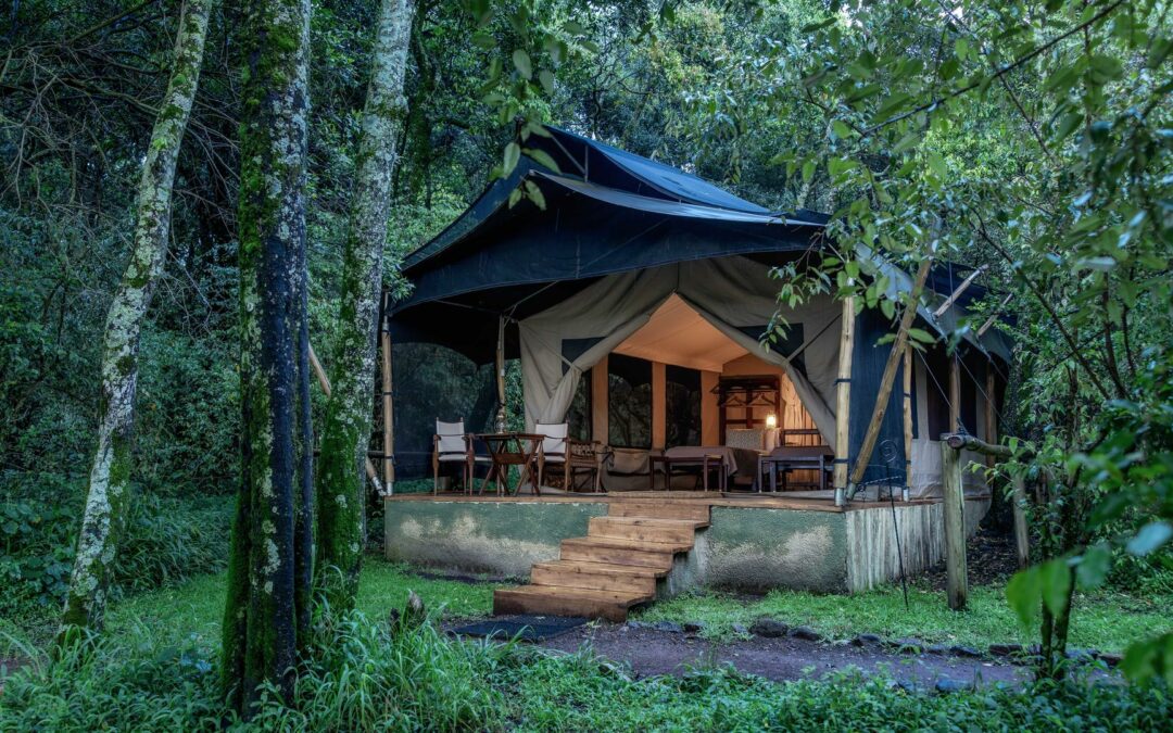 Mara North – Elephant Pepper Camp