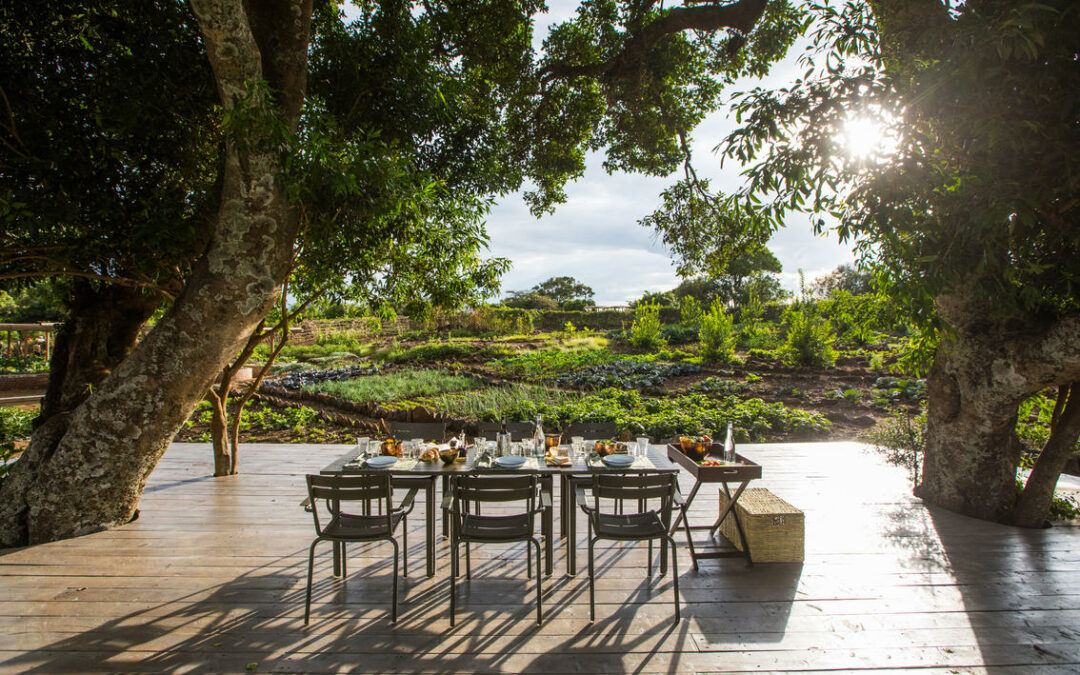 Mara Triangle – Angama Mara
