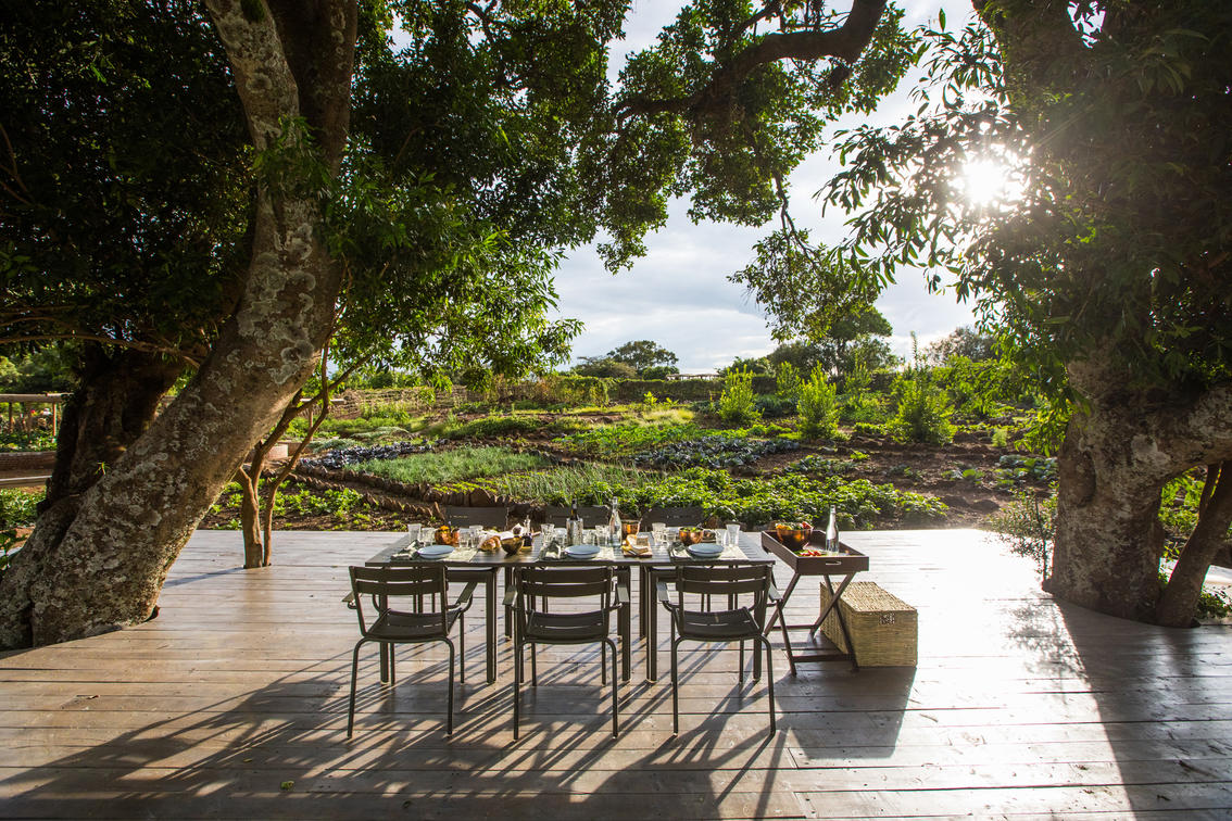 Mara Triangle – Angama Mara