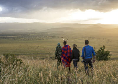 Guided Forest Walks