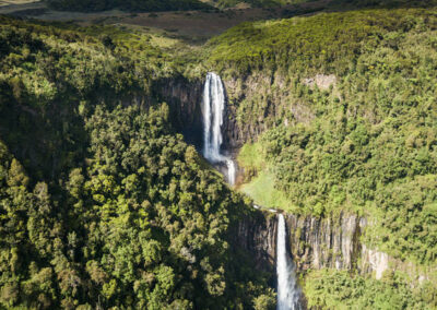 Forest & Waterfall Walks