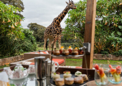 Giraffe Centre Visit