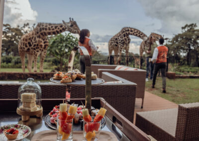 Giraffe Centre Visit