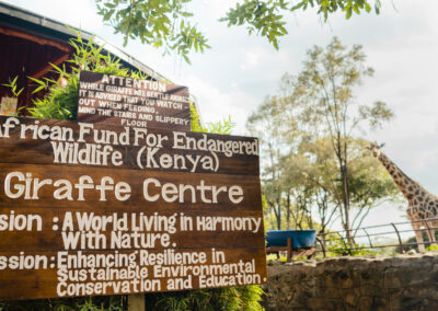 Giraffe Centre Visit