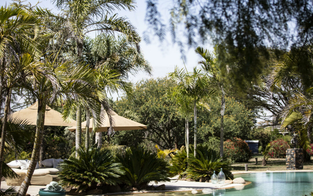 Segera Retreat