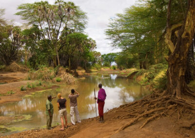 Galana River Wildlife Tracking