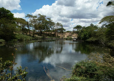 Mzima Springs Exploration