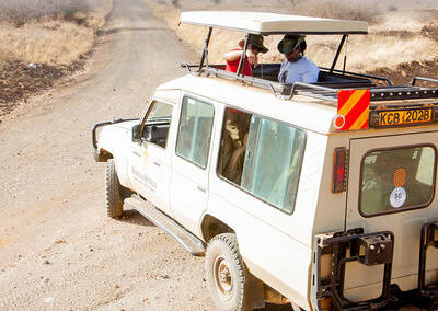 Game Drives Across Volcanic Terrain