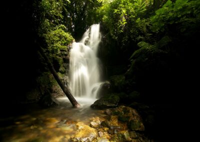 Bwindi Lodge Uganda with Adventures Africa