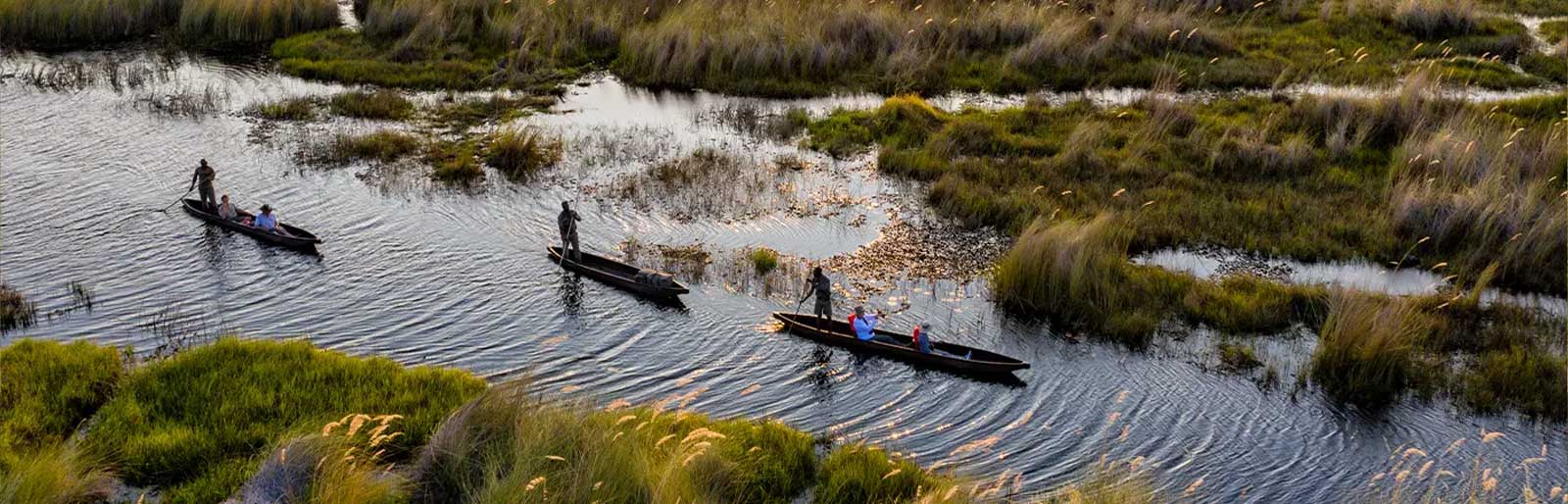 Botswana Safari
