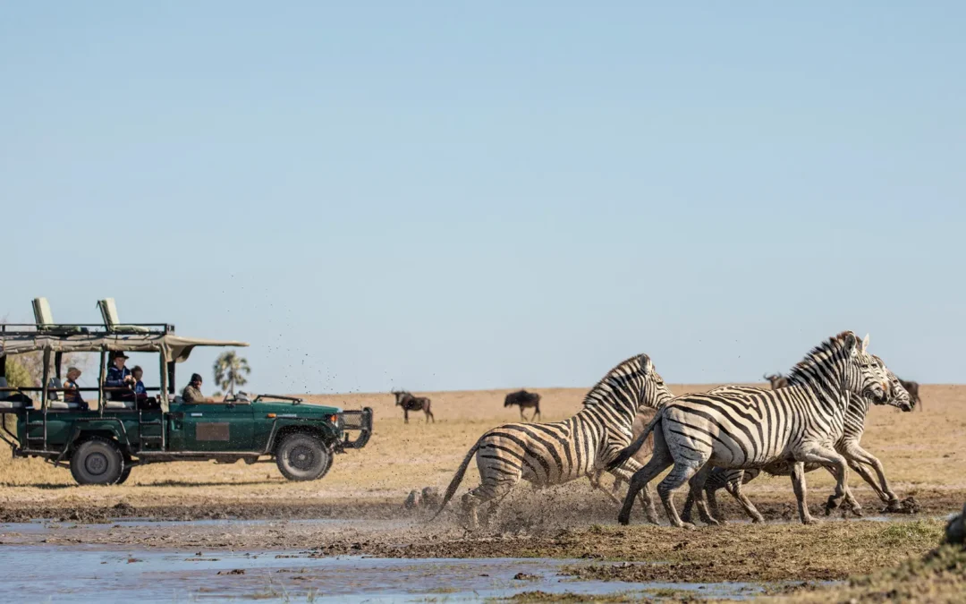 Iconic Botswana Safari