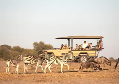 Makgadikgadi Pans Explorer with Adventures Africa