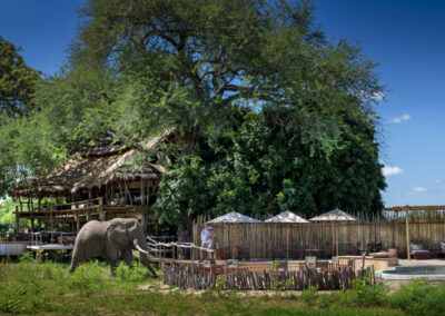 Myamatusi Camp Mana Pools Zimbabwe Safari