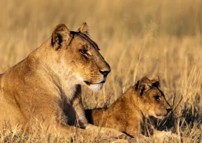 Okavango Delta Impressions with Adventures Africa