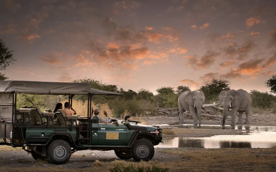 Signature Honeymoon Safari