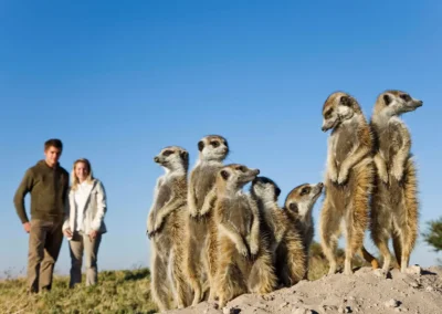 Signature Honeymoon Safari with Adventures Africa