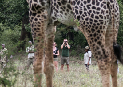 South Luangwa NP Shawa Luangwa Camp with Adventures Africa 8