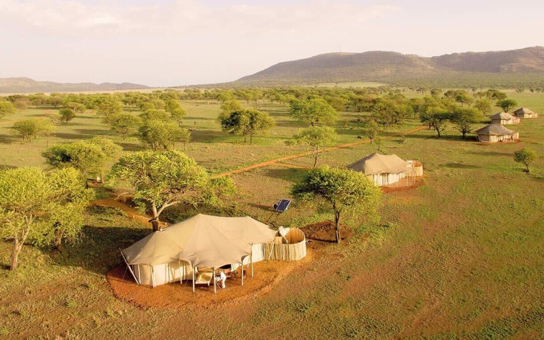 Central – Seronera – One Nature Nyaruswiga
